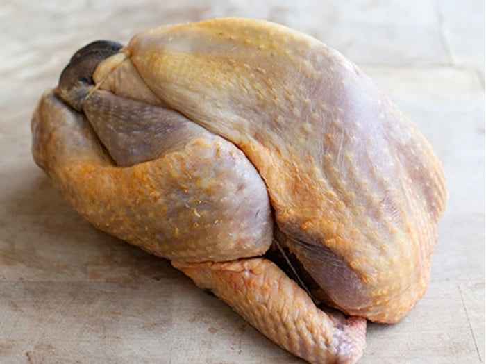 Guinea Fowl